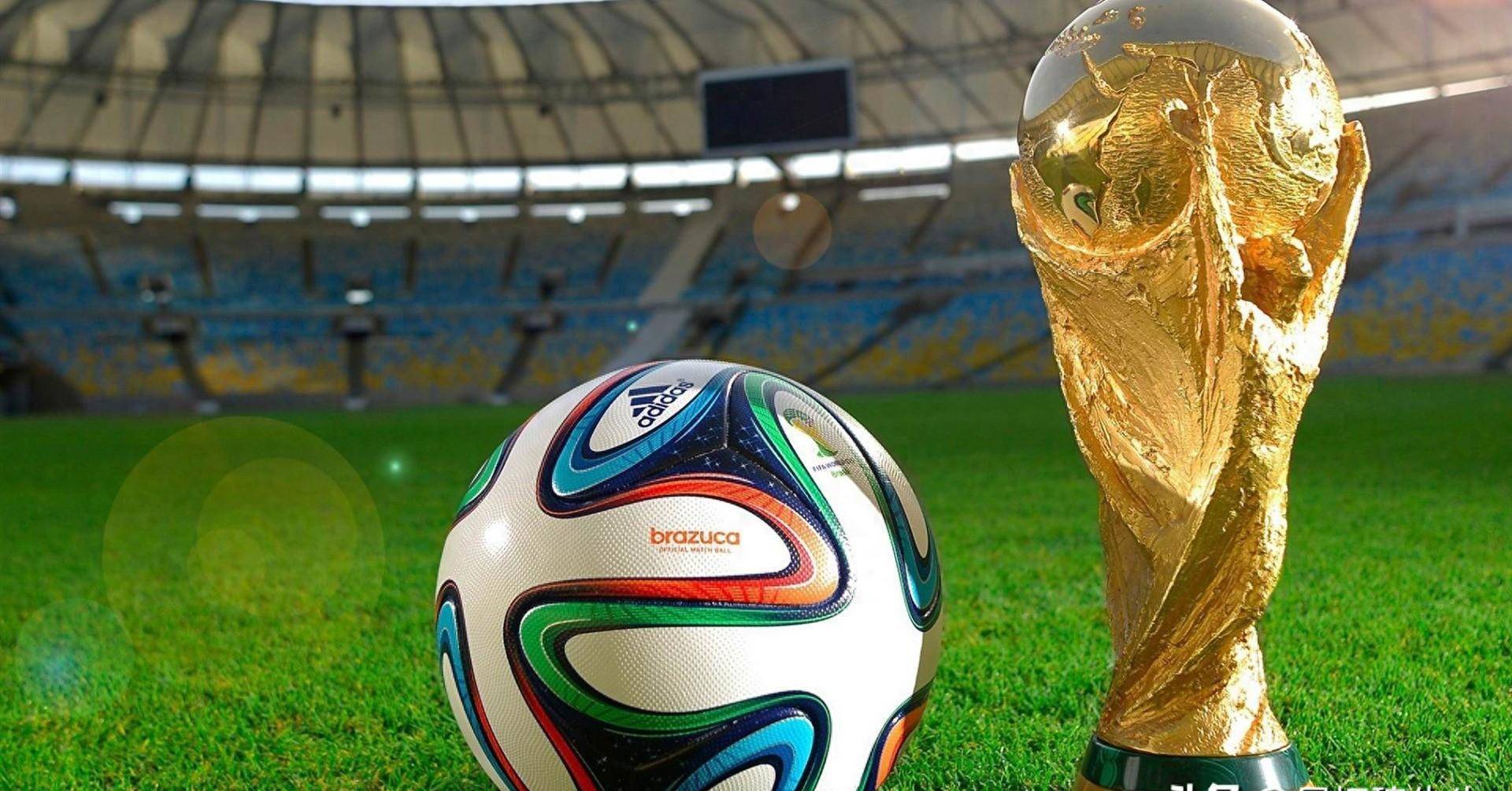 她必须面对 她必须面对